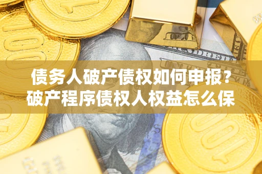 北京债务人破产债权如何申报？破产程序债权人权益怎么保障？