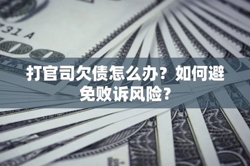 北京打官司欠债怎么办？如何避免败诉风险？