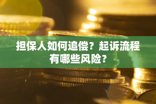 北京担保人如何追偿？起诉流程有哪些风险？