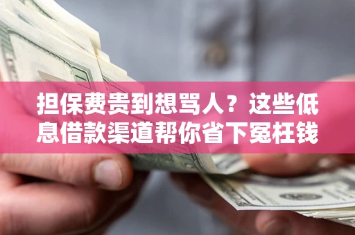 北京担保费贵到想骂人？这些低息借款渠道帮你省下冤枉钱