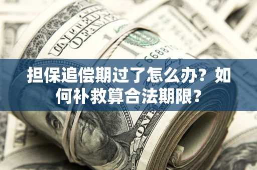 北京担保追偿期过了怎么办？如何补救算合法期限？
