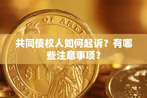 北京共同债权人如何起诉？有哪些注意事项？